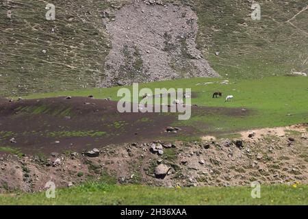 Schöne Berglandschaft in Jammu, Kaschmir, Indien Stockfoto