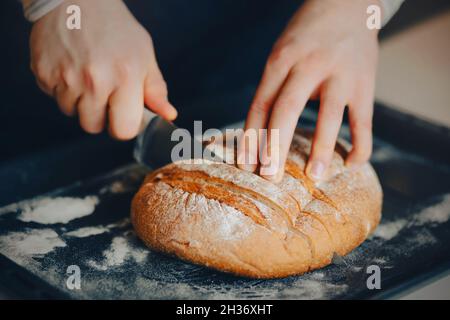 Ein Mann schneidet mit einem scharfen Messer frisches, rundes Weizenbrot, das auf einem Backblech liegt, in Scheiben. Kochen und Backen zu Hause. Stockfoto
