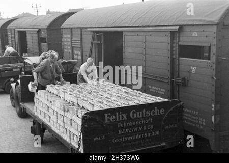 Güterzüge Verladen der Erdbeerernte in der Deutschen Reichsbahn am Bahnhof, Deutschland 1930er Jahre. Laden Züge mit Erdbeere Ernte auf der Station, Deutschland 1930. Stockfoto