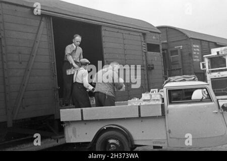 Güterzüge Verladen der Erdbeerernte in der Deutschen Reichsbahn am Bahnhof, Deutschland 1930er Jahre. Laden Züge mit Erdbeere Ernte auf der Station, Deutschland 1930. Stockfoto