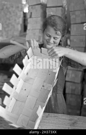 Arbeiterin in der Bühler Spankorbfabrik, sterben sterben sterben Körbe für die Erdbeerernte liefert, Deutschland 1930er Jahre. Arbeiterin in der Fabrik gebäude der Korb Fabrik, die Herstellung der Körbe für die Erdbeere Ernte in Bühl, Deutschland 1930. Stockfoto