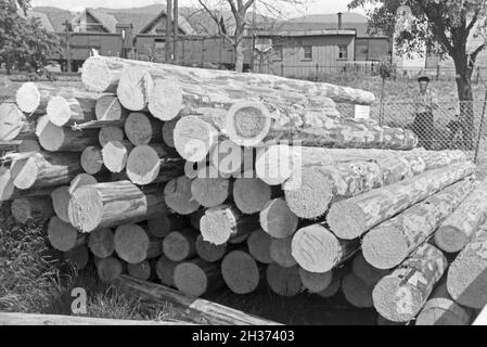 Holzstapel bin Fabrikgebäude der Bühler Spankorbfabrik, sterben sterben sterben Körbe für die Erdbeerernte liefert, Deutschland 1930er Jahre. Holzstapel in der Fabrik gebäude der Korb Fabrik, die Herstellung der Körbe für die Erdbeere Ernte in Bühl, Deutschland 1930. Stockfoto