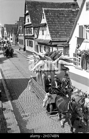 Pferdefuhrwerke im Festzug zum Rettichfest in Schifferstadt, Deutschland, 1930er Jahre. Pferdekutschen am Pageant der jährlichen Rettich Messe in Schifferstadt, Deutschland 1930. Stockfoto