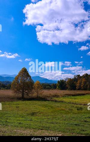 Schöne Aussicht auf die Landschaft bei der Cades Cove Loop in Great Smoky Mountain Stockfoto