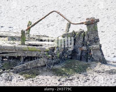 Rostig altes Ruder auf Überresten von Holzbooten, River Torridge, Devon. Stockfoto