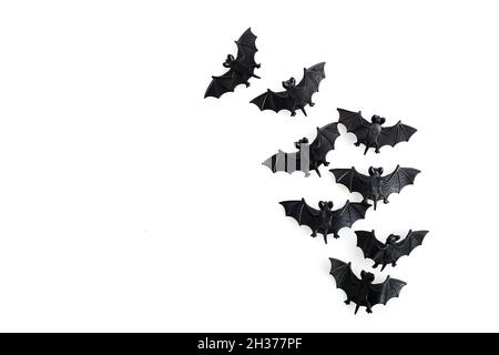 Halloween schwarze Fledermäuse fliegen über weißen Hintergrund Stockfoto