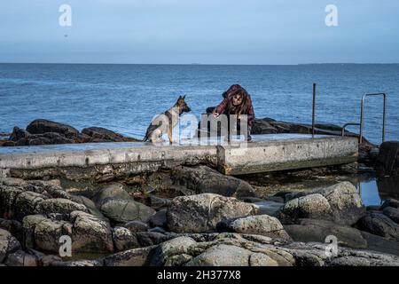 Ein vier Monate alter Schäferhund im Training. Blauer Ozean Hintergrund Stockfoto