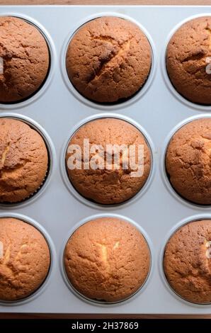 Frisch gebackene, hausgemachte Muffins auf einem Metallbackblech in der Küche, Blick von oben direkt oben Stockfoto