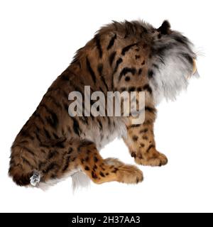 3D-Rendering ein Säbelzahn-Tiger isoliert auf weißem Hintergrund Stockfoto