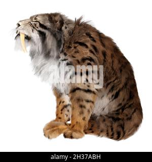 3D-Rendering ein Säbelzahn-Tiger isoliert auf weißem Hintergrund Stockfoto