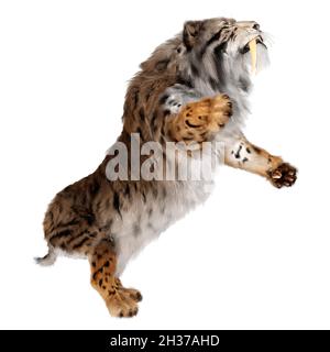 3D-Rendering ein Säbelzahn-Tiger isoliert auf weißem Hintergrund Stockfoto