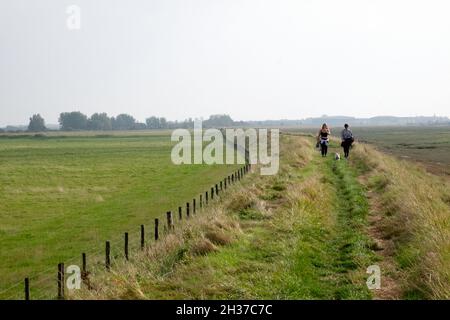 Rückansicht Zurück Junge Frauen, die im Herbst auf einem Fußweg von Camber Sands in Richtung Rye wandern Romney Marsh Kent England UK KATHY DEWITT Stockfoto