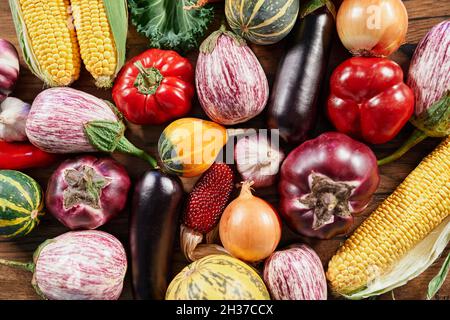 Landwirtschaftliches oder landwirtschaftliches Konzept. Buntes Bio-Gemüse auf einem Tisch. Ernte saisonaler Produkte Konzept: Mais, Kürbis, Tomaten, Zucchini und andere. Hochwertige Fotos Stockfoto