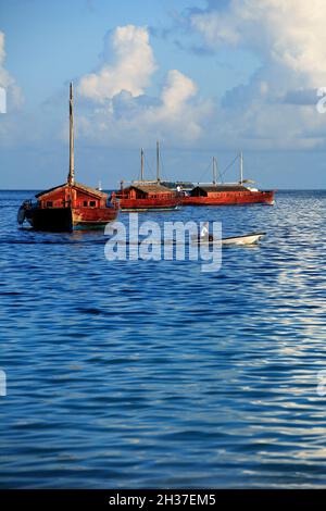 MALEDIVEN, ARI ATOLL, DHONI MIGHILI INSEL, JEDER GAST HAT SEINE VILLA UND SEIN EIGENES TRADITIONELLES BOOT (DHONI) Stockfoto