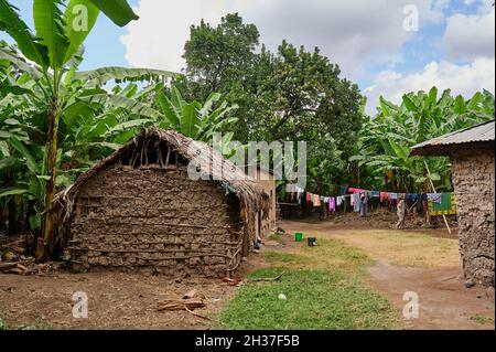 Lehmhütten und Waschmaschinen beim Dorfspaziergang in Mto wa Mbu, Tansania, Afrika Stockfoto