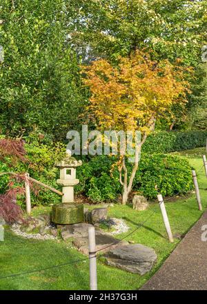 Japanischer Garten mit einem glücklichen Münzbrunnen und einer orientalischen Steinlaterne. Umgeben von den Herbstfarben der Bäume. Stockfoto