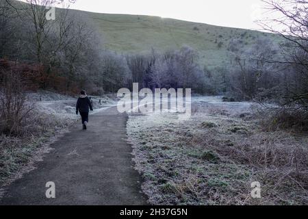 Eine Frau und ihr Hund, die im Winter mit Frost auf dem Boden durch das mannigfaltige Tal wandern, mannigfaltiges Tal, Staffordshire, England, Großbritannien Stockfoto