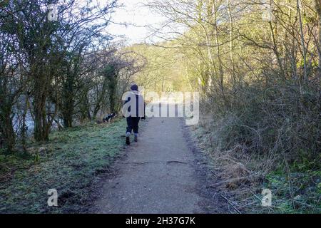 Eine Frau und ihr Hund, die im Winter mit Frost auf dem Boden durch das mannigfaltige Tal wandern, mannigfaltiges Tal, Staffordshire, England, Großbritannien Stockfoto