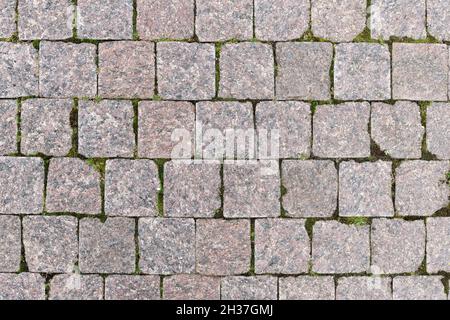 Granitpflaster aus quadratischen Steinen, bewachsen mit Moos Stockfoto