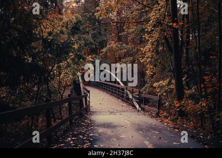 Pfad zur Metallbrücke, umgeben von Herbstbäumen und Laub im Rocky River Reservat der Cleveland Metroparks in der Nähe von Cleveland, OH. Stockfoto