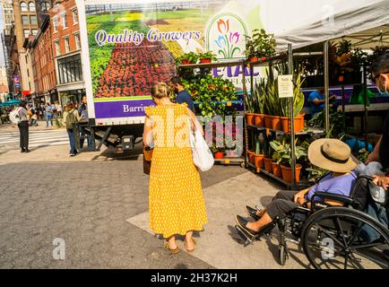 Einkäufer am Freitag, den 8. Oktober 2021, auf dem Union Square Greenmarket in New York. (© Richard B. Levine) Stockfoto