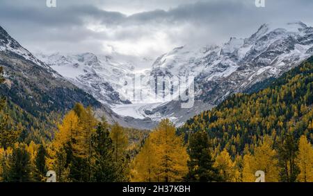 Ein Blick auf die Bernina-Bergkette an bewölktem Tag mit vielen bunten Bäumen im Vordergrund Stockfoto