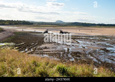 Brücke nach Nirgendwo, Belhaven Bay, über Biel Wasser bei Ebbe - John Muir Country Park, Dunbar, Schottland, Großbritannien Stockfoto