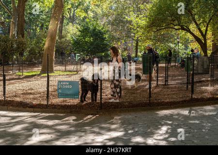 Besucher des temporären Hundelaufes im Madison Square Park in New York am Mittwoch, den 20. Oktober 2021, genießen das für die Jahreszeit unangenehme warme Herbstwetter. (© Richard B. Levine) Stockfoto