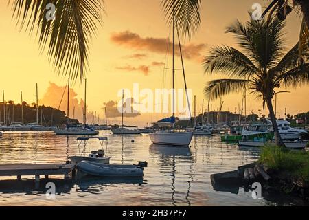 Segelboote / Segelboote liegen bei Sonnenuntergang in der Marina der Hauptstadt St. George's an der Westküste der Insel Grenada im Karibischen Meer Stockfoto