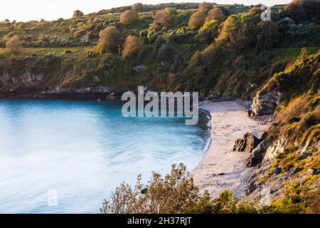 Am frühen Morgen fällt Licht auf die St. Mary's Bay im Süden von Devon. Stockfoto