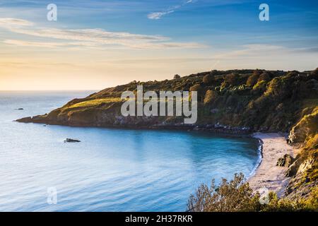 Am frühen Morgen fällt Licht auf die St. Mary's Bay im Süden von Devon. Stockfoto