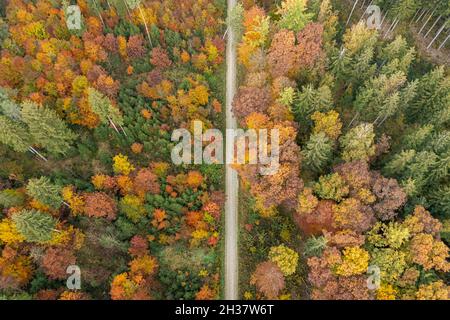 Blick von oben auf einen farbenfrohen Teil eines Herbstwaldes mit einem Landweg im Zentrum. Stockfoto