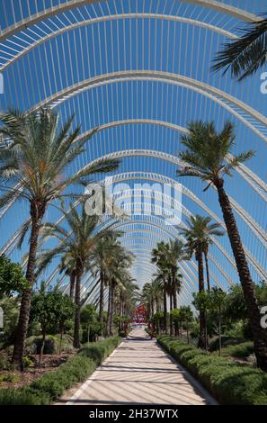 Stadtansicht von Valencia, Spanien mit L'Umbracle, einem skulpturierten Garten in der Stadt der Künste und Wissenschaften. Spanische Stadt und Wahrzeichen als Attraktion für Touristen Stockfoto