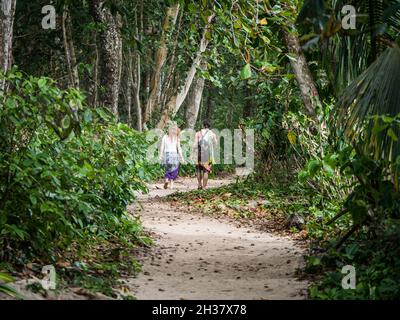 Junge und Mädchen gehen auf einem Pfad durch dichte Wälder im Cahuita Nationalpark, Costa Rica. Stockfoto