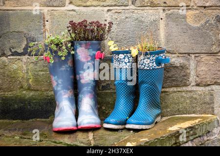 Wellington Stiefel als Pflanztöpfe umfunktionierten, Großbritannien Stockfoto