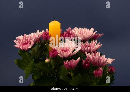 Zusammensetzung von Blumen und Kerze für alle Seelen Tag. Auch geeignet für Beerdigung, Trauer, Trauer. Stockfoto