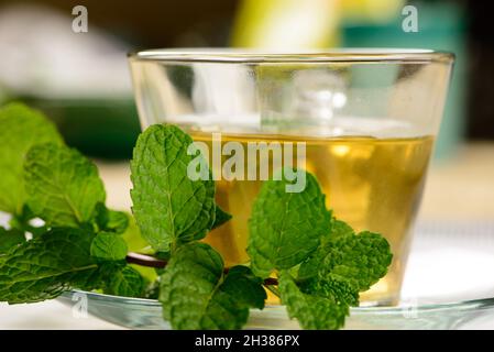 Minztee in transparenter Tasse mit Minzzweig daneben Stockfoto