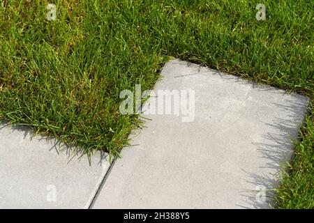 Rasengras und Gehweg auf dem Wandergebiet im Garten oder Park. Landschaftsgestaltung des Rasens und Verbesserung des Territoriums in der Nähe des Hauses. Hochwertige Fotos Stockfoto