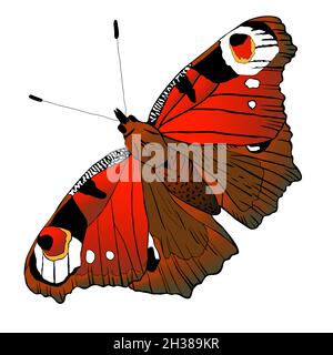 Vecor Butterfly. Abstrakte Insekten Silhouette schwarz-weiß Illustration Stock Vektor