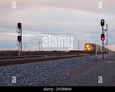 Union Pacific Zug durch den amerikanischen Südwesten in Deming, New Mexico. Sowohl geschlossene Autoträger als auch Container werden mit Geschwindigkeit in Richtung Westen gezeigt. Stockfoto