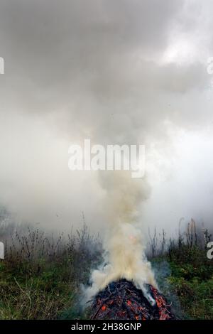 Brennende Fichtenzweige, dichter Rauch steigt in den Himmel. Stockfoto