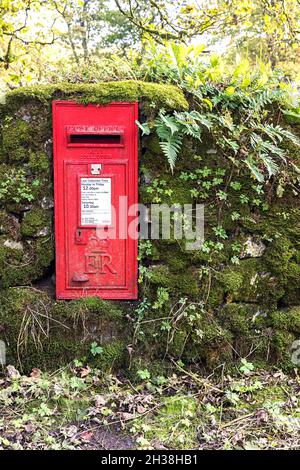 Roter Briefkasten in Trockensteinwand mit Moos, Malham Tarn, Yorkshire Dales, Großbritannien Stockfoto