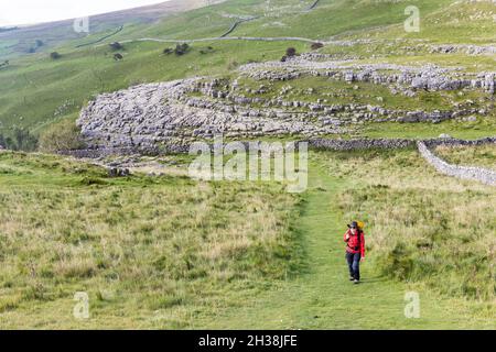 Walker auf dem Pennine Way in Malham Cove, Yorkshire, Großbritannien Stockfoto