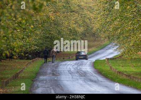 Autofahren und Menschen auf der Lime Tree Avenue in Clumber Park, Nottinghamshire, England, Großbritannien Stockfoto