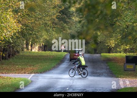 Mann, der über die Lime Tree Avenue in Clumber Park, Nottinghamshire, England, Großbritannien, radelt Stockfoto