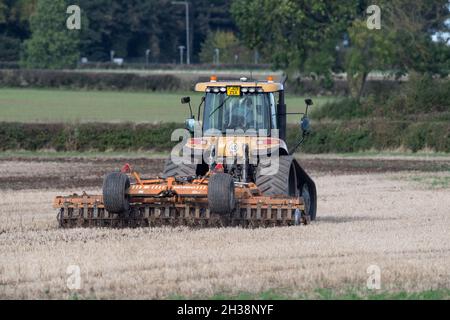 Landwirt, der einen Challenger Agricultural Raupentraktor verwendet und eine 5,5 m Cultipress über ein Feld zieht. Stockfoto