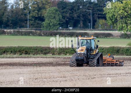 Landwirt, der einen Challenger Agricultural Raupentraktor verwendet und eine 5,5 m Cultipress über ein Feld zieht. Stockfoto