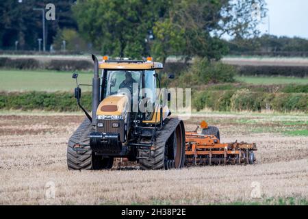 Landwirt, der einen Challenger Agricultural Raupentraktor verwendet und eine 5,5 m Cultipress über ein Feld zieht. Stockfoto