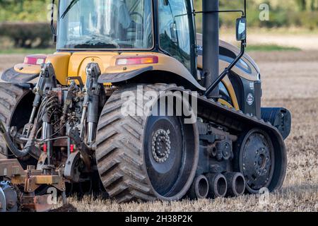 Landwirt, der einen Challenger Agricultural Raupentraktor verwendet und eine 5,5 m Cultipress über ein Feld zieht. Stockfoto