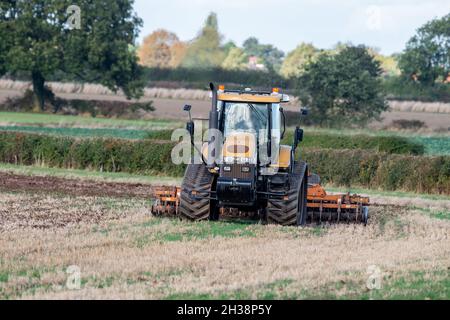 Landwirt, der einen Challenger Agricultural Raupentraktor verwendet und eine 5,5 m Cultipress über ein Feld zieht. Stockfoto